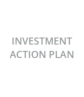 Investment Action Plan