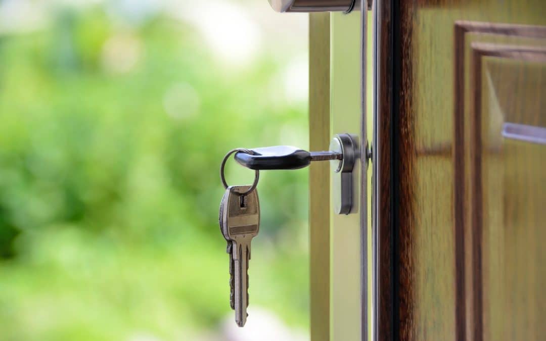 What will happen to the property market in NZ?