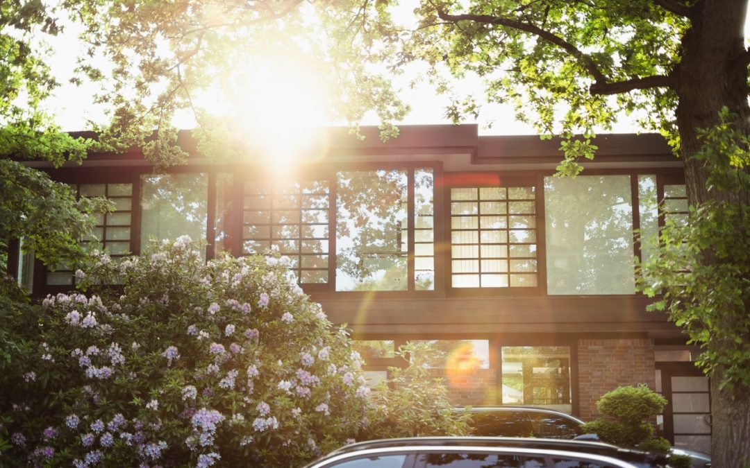 Invest or pay off your home loan?